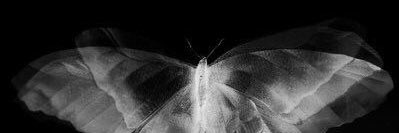 ًً banner