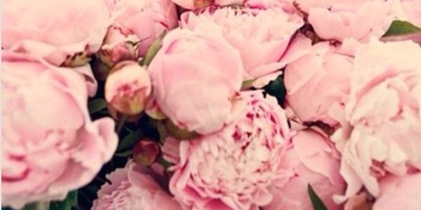 jen_newmann's profile banner image