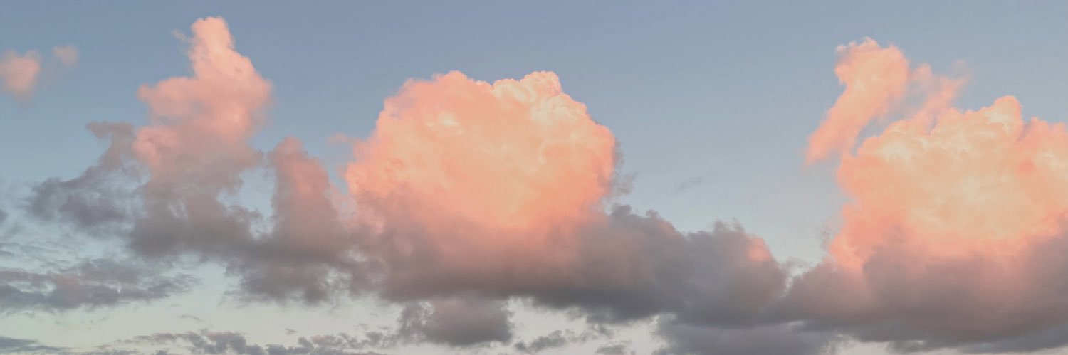 pedrostudart's profile banner image