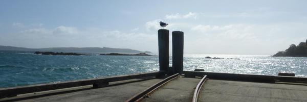 francescafolda Profile Banner