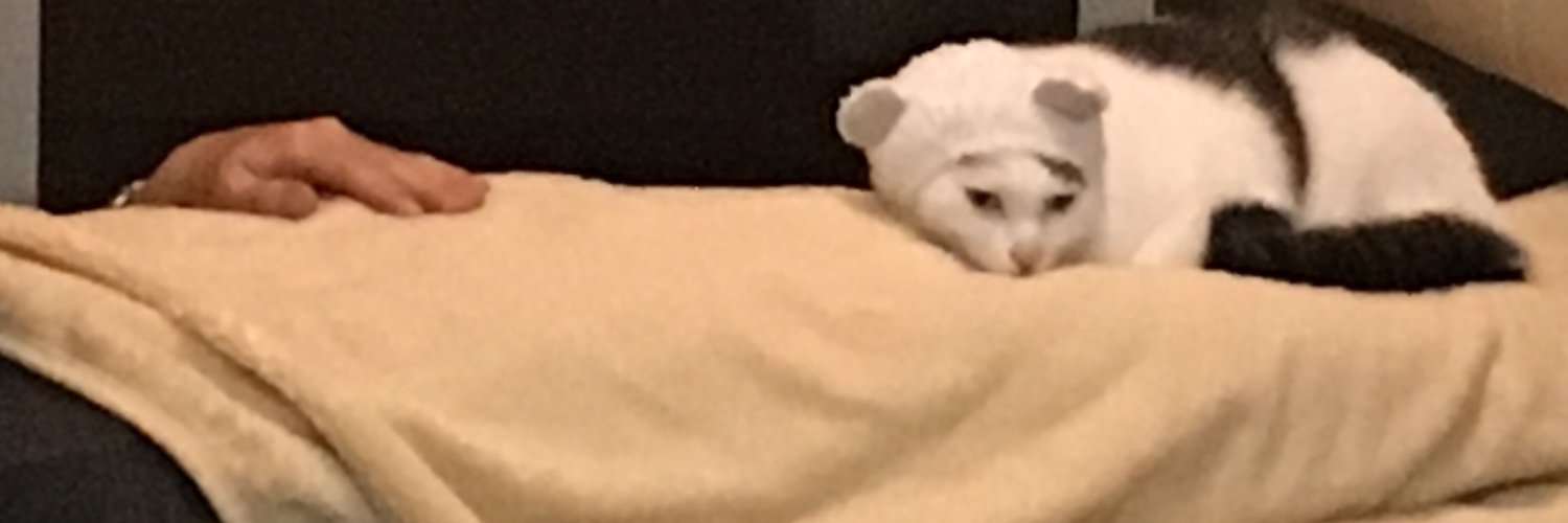tomgoose222's profile banner image