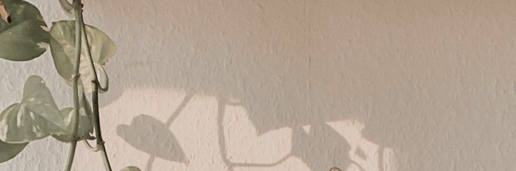 shaunthesheepp's profile banner image