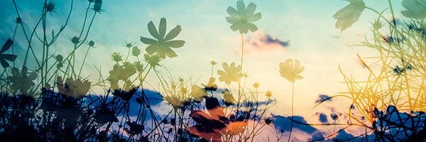 mimam_2r's profile banner image