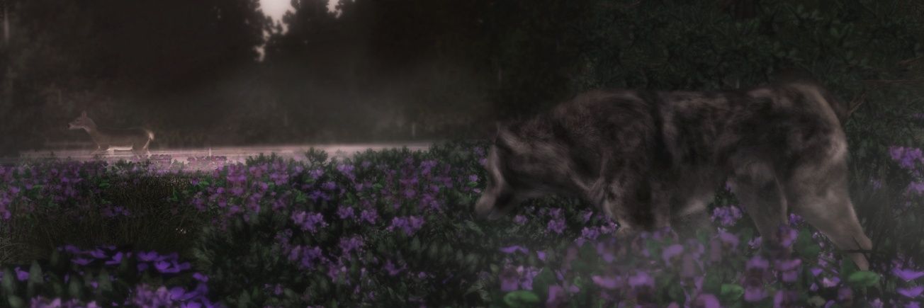 Javoi_'s profile banner image