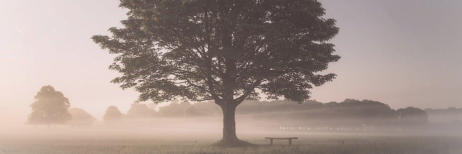 Oak Security's banner