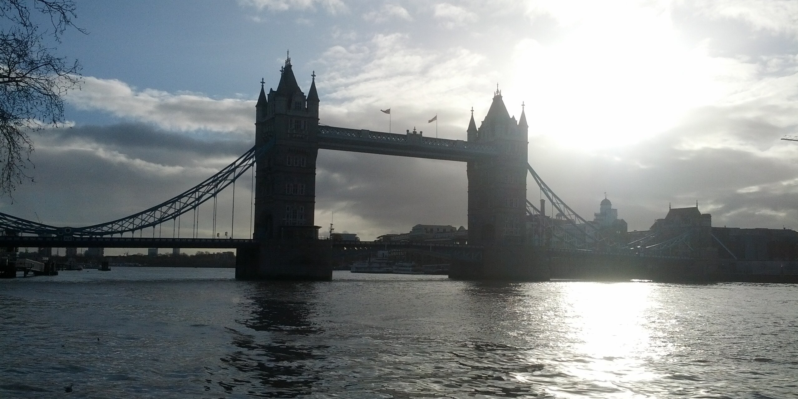 Rowenta Infinity banner