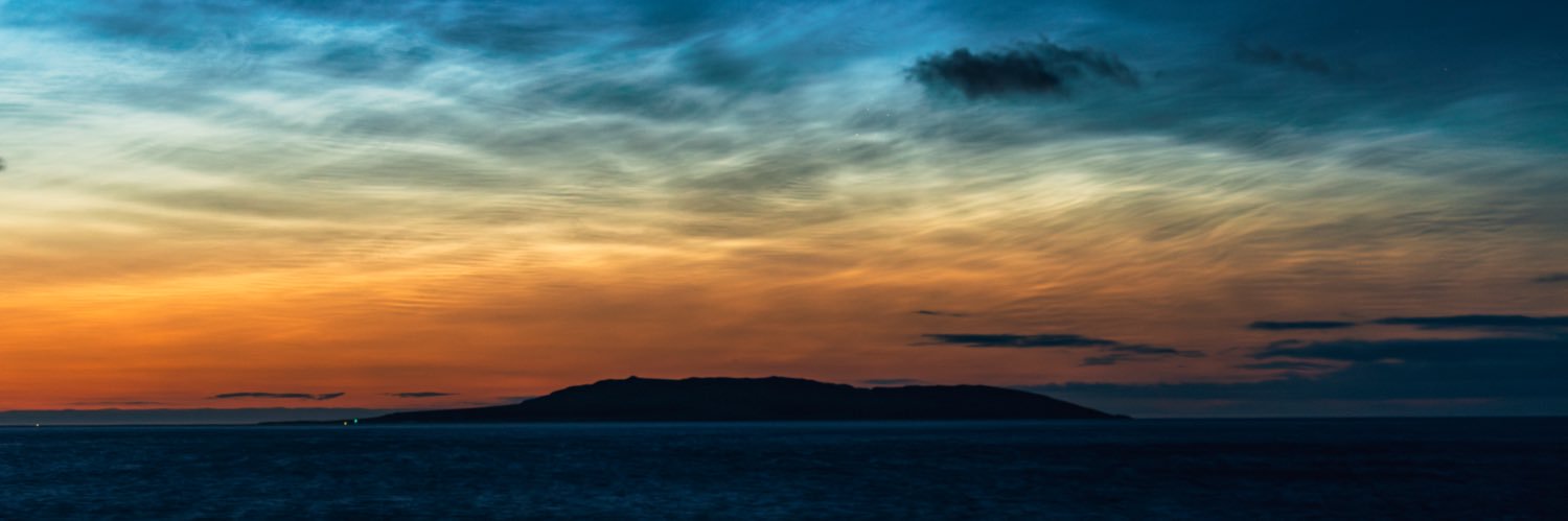 Maria McAlinden banner