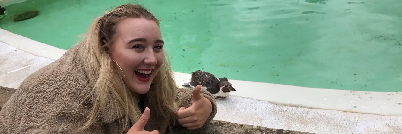 MarmysaurTTV's profile banner image