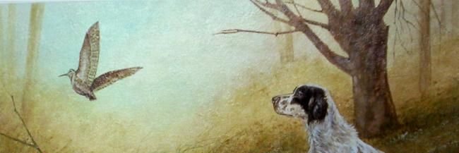 lanfreddo72's profile banner image