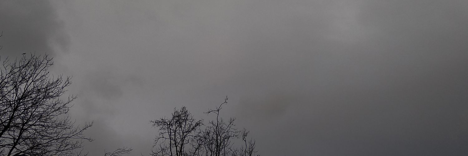 09Anaa's profile banner image