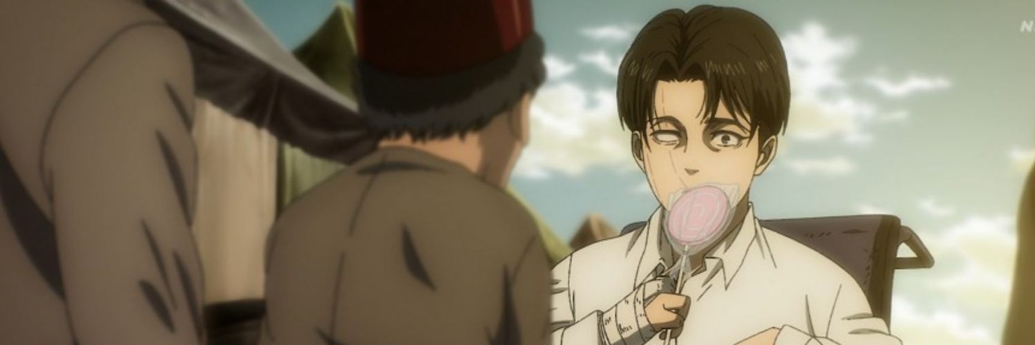 levi pics banner