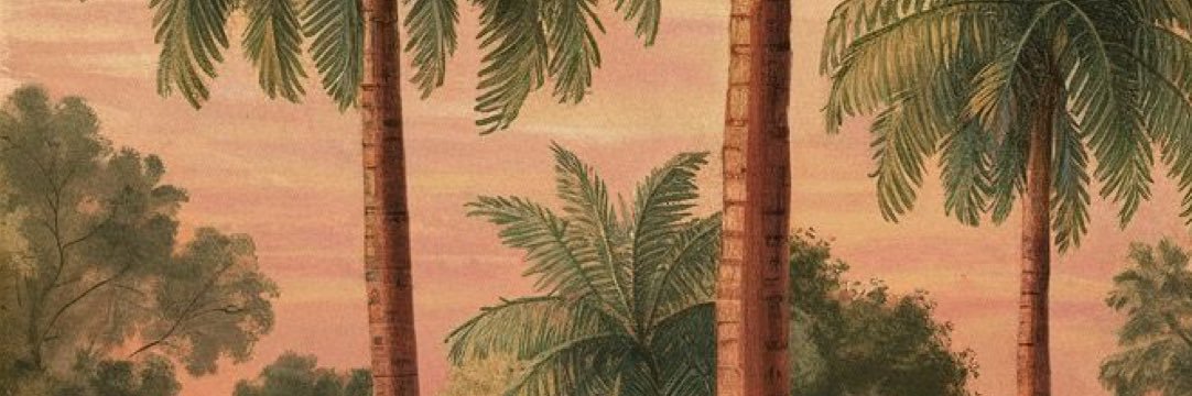 4Pbvvxi's profile banner image