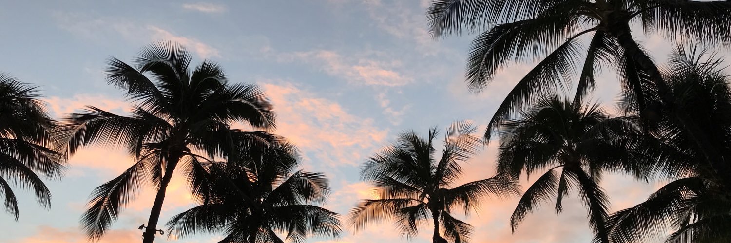 georgeglober2's profile banner image