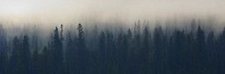 StewartAmanda31's profile banner image