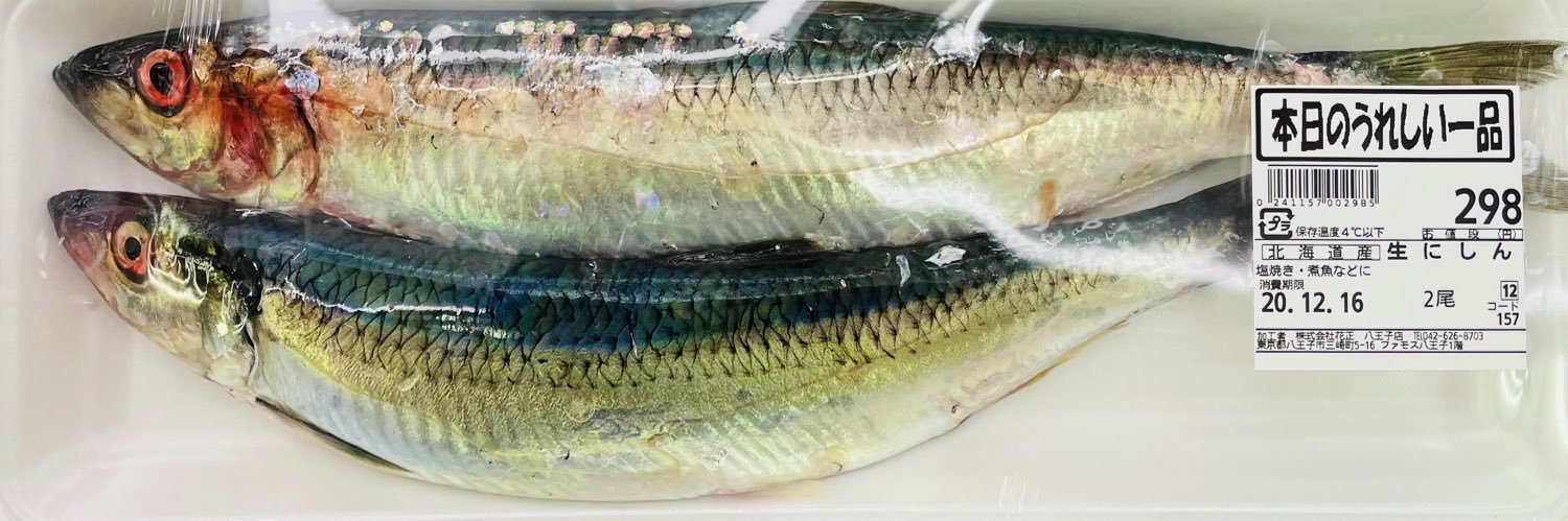 𝙼𝙿𝙴𝙶-𝟽 banner