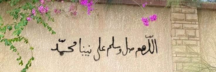 سافيولا banner