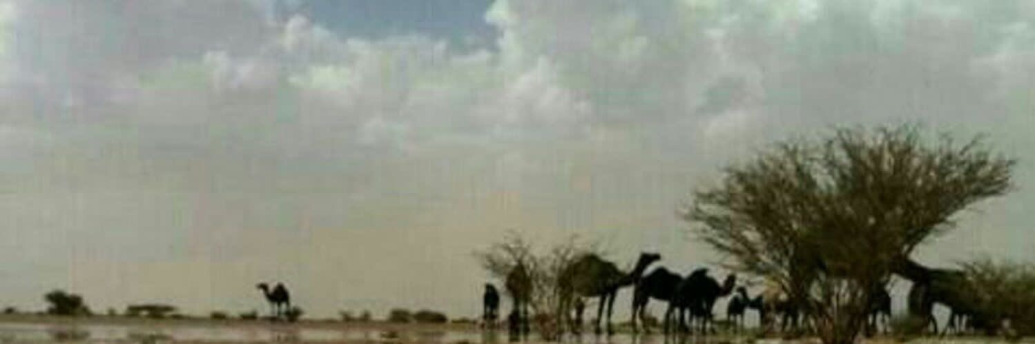الشاعره عاشقة السحاب banner
