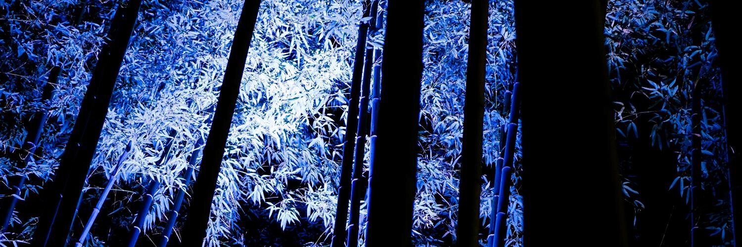 5th_garden's profile banner image