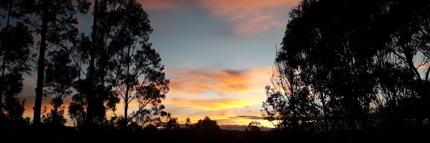 Ivnlucero's profile banner image