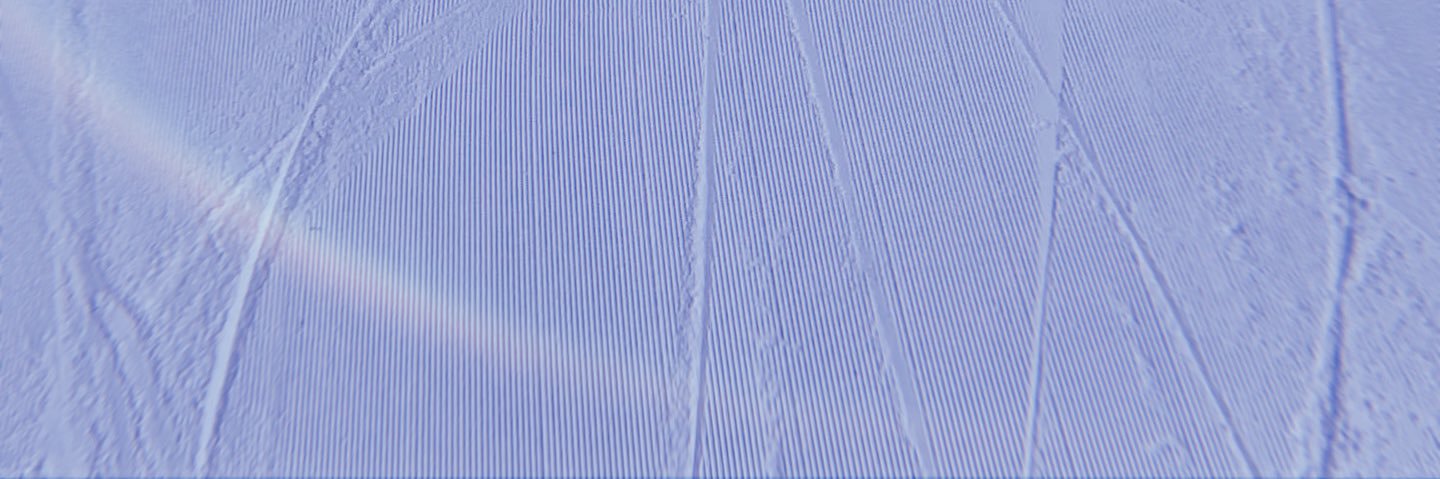 curiousism's profile banner image