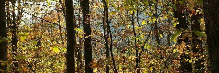 philly865's profile banner image