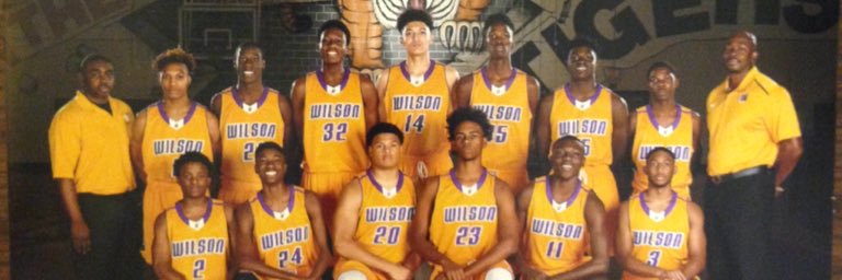 Wilson Tigers banner