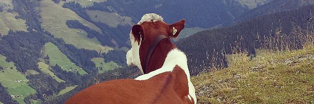 Kimster2000's profile banner image