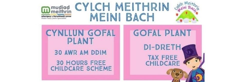 Meini Bach banner