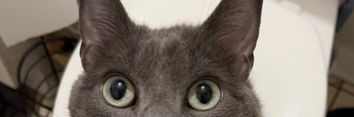 TheBeastTrevy's profile banner image