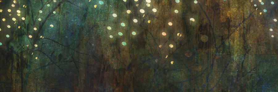 Ztampf's profile banner image
