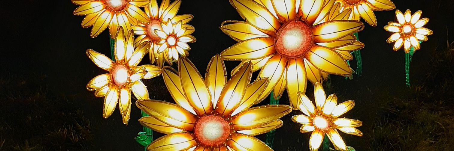 Karen Plimmer's banner