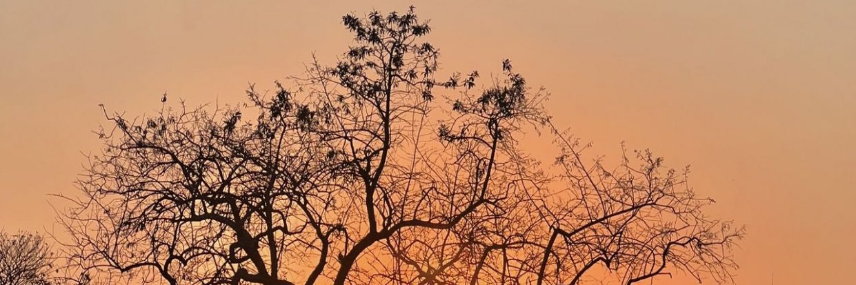 🍁🇶🇦 banner