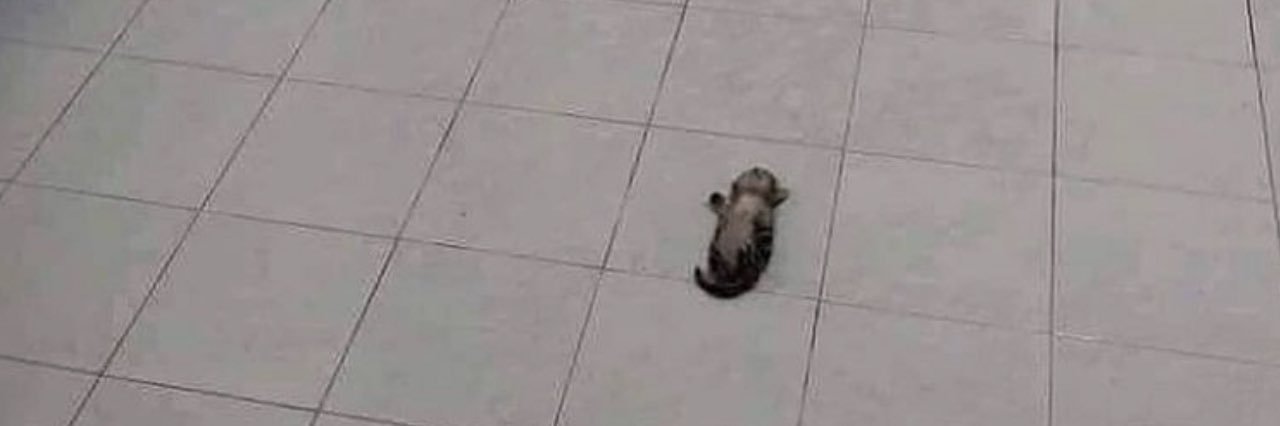 Little_bumblebee3 (Comms: Closed) banner