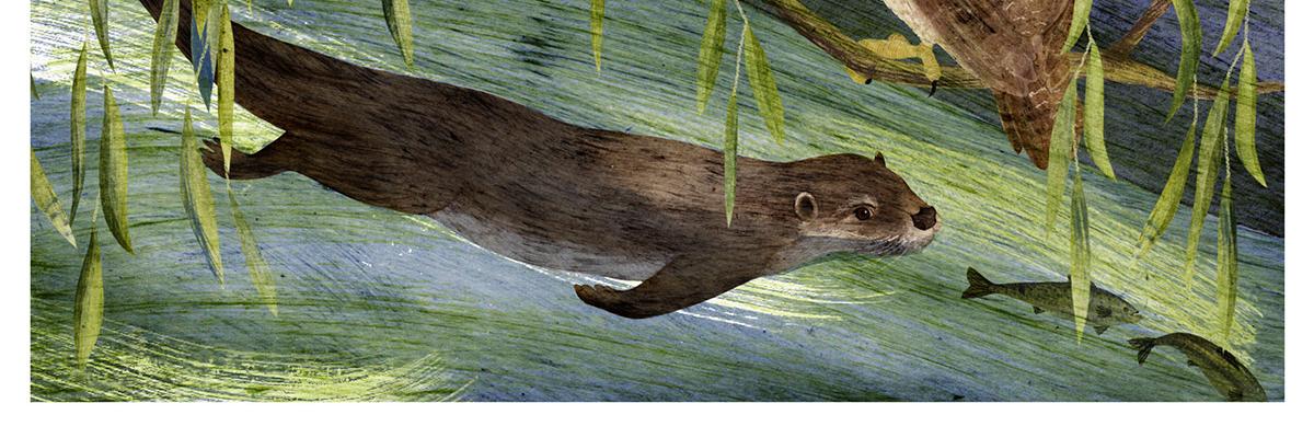 Hannah Bailey banner