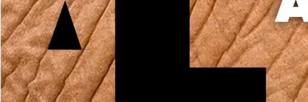 AnimaLeaks Profile Banner