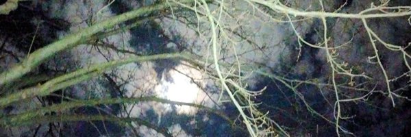 YoakumTroy Profile Banner