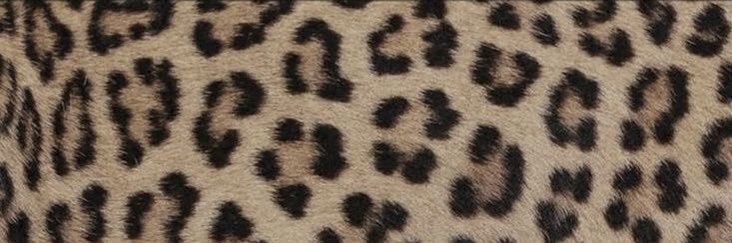 zero banner