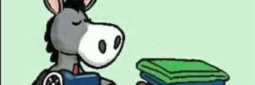 YomayW's profile banner image
