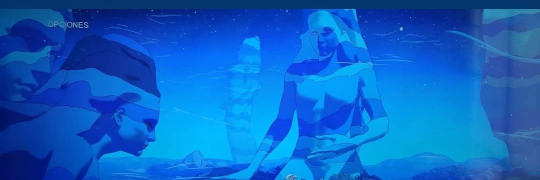 carolinalmv's profile banner image