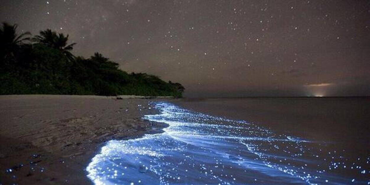 IncroyablePics's profile banner image