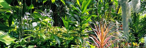 _miii_y Profile Banner