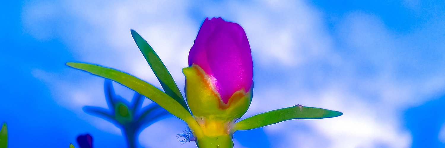 devendrajadav's profile banner image