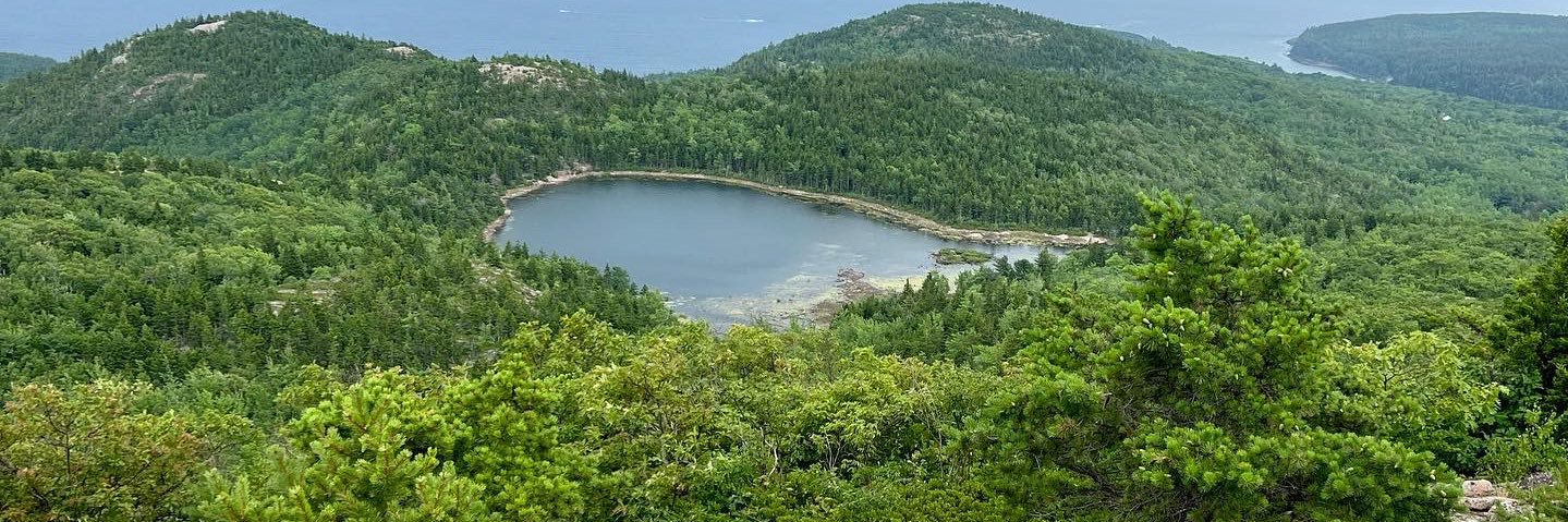 Danielle Jacobs banner