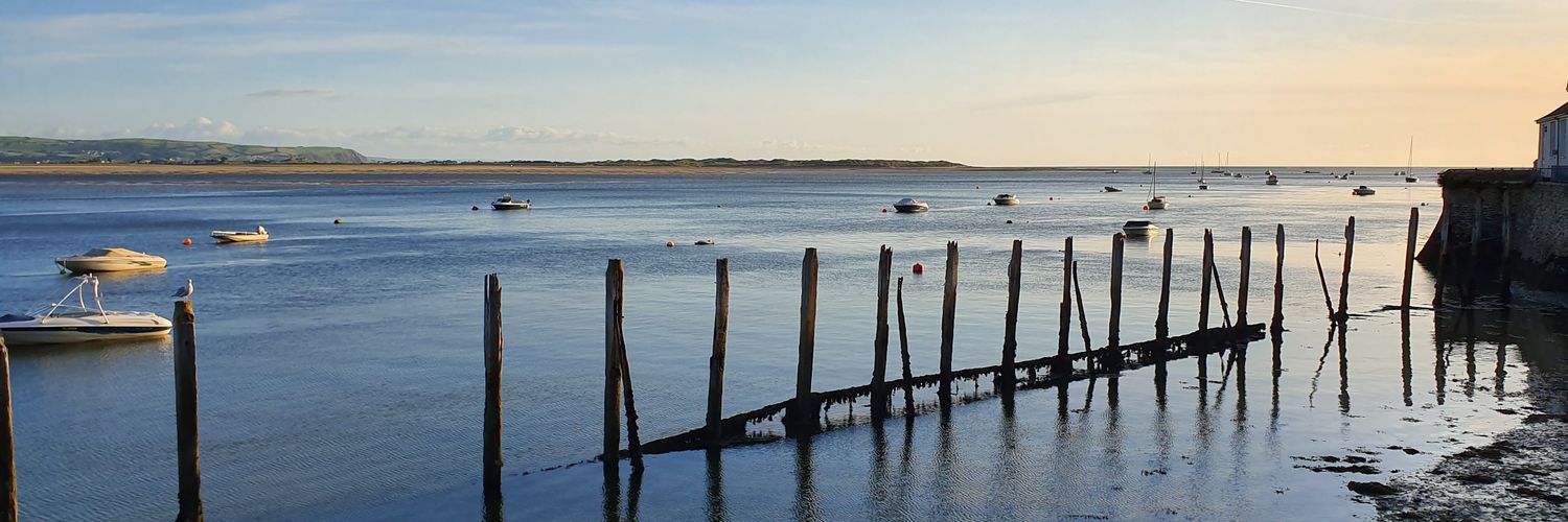 sambojambo's profile banner image