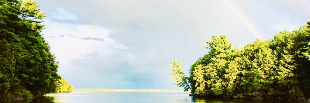 Ronda MacKinnon banner