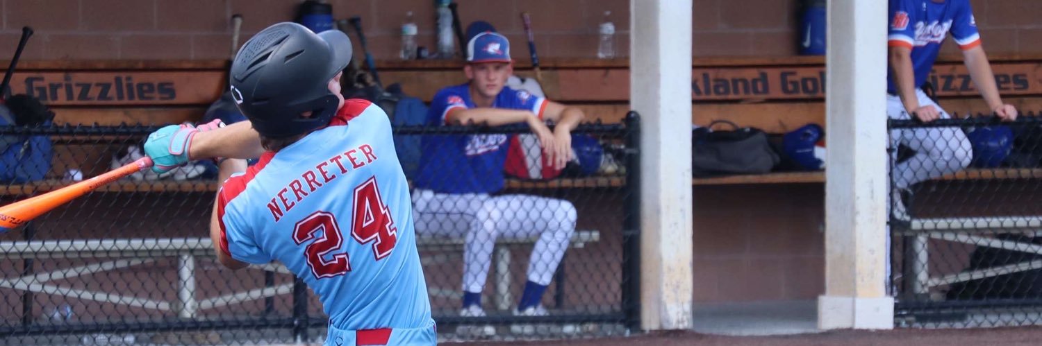 carson nerreter banner