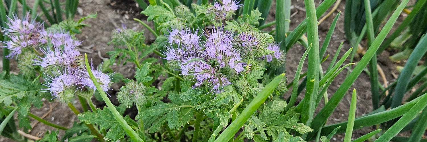 Marien Verhage banner