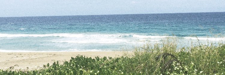 Smarie013's profile banner image