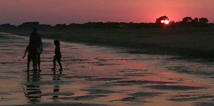 Memorias de Africa banner