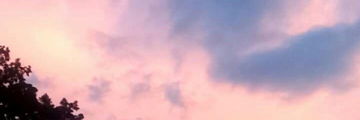 paaatph's profile banner image